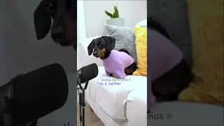 Buttercup does her best to sing Dolly Parton’s song 