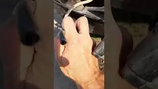 ремонт насоса омывателя на Ниссан Жук #ниссанжук, #омыватель