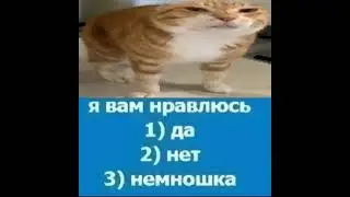 23 июня 2024 г.