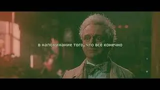 Благие знамения // что отличает птицу от летучей мыши