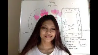 Cell Structure and Organization | O level Biology | A lesson a day ||