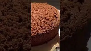 Торт эскимо