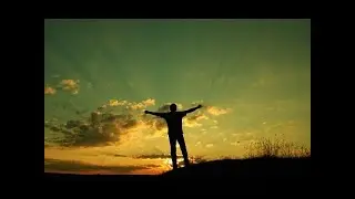 AVI LSD ARCHIVES - How to find FREEDOM With Work