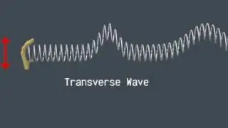 Creating a Transverse Wave