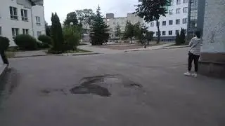 Как дикий селезень прикармливаться у людей! #приколы #shorts #селезень