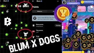 Begini Caranya ! Cara Mendapatkan dogs di Airdrop Blum + Cara dapat Skin Yescoin Labs Binance