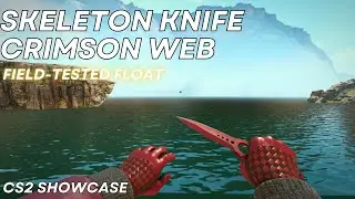 Skeleton Knife Crimson Web (Field-Tested) | CS2 Skin Showcase 