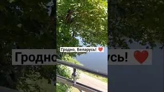 #shots #shorts #shortvideo #shortsvideo #гродно #travel #путешествия #путешествие #беларусь #belarus