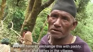 Endangered Raute Tribe Nepal