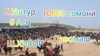 Бузкаши Ш.Душанбе бахшида ба Наврӯзи Байналмилали дар шаҳри Ҳисор 20.03.2022