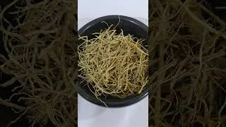 Patol (Kadu Parval) Patol Patra - Patola - Pointed Gourd - पटोल पटरा - Trichosanthes Dioica