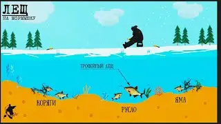 ЛЕЩ на мормышку. ЗНАЙ и лови МНОГО🔥🎣 #рыбалка #лещ #зимняярыбалка
