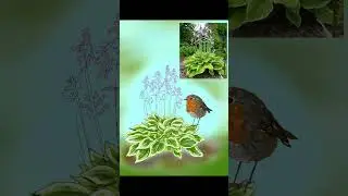 Рисую кроху Зарянку / digital art 