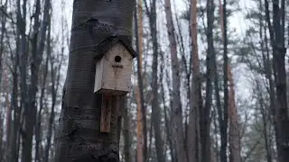 Короткометражный фильм: 