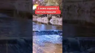 3 знака зодиака с чистым сердцем. Кто они?🤔