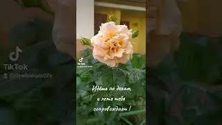 Літо 23 нехай буде щасливим 🌈