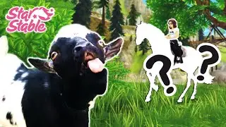Meine ZIEGE entscheidet welches PFERD ich KAUFEN MUSS! 🙈 [SSO]