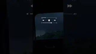 жаль 29.07