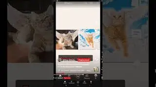 мягких вам облачков симба старший и симба младший #sad