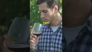 क्या जलवायु परिवर्तन भारत की वाइन इंडस्ट्री को बर्बाद कर #climatechange  #wineindustry
