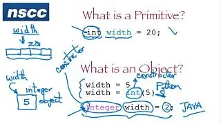 Difference between Primitive and Object Data Types in Java