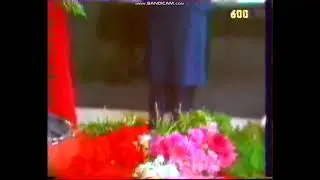 ПРАХ / Пустырь за Крематорием на Шафировском проспекте