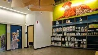 Bright and Modern: KRS's New Design for Banfield Pet Hospitals Expansion