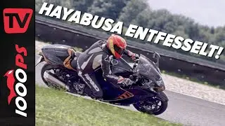 Wanderfalke im Speckmantel - Wie sportlich ist die neue Suzuki Hayabusa wirklich? Track Test!