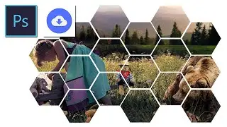How To Turn a Photo into a Collage of Hexagons in Photoshop