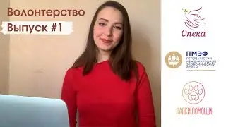 Волонтерство онлайн, помощь животным и ПМЭФ-2022