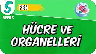 Hücre ve Organelleri 📗 5. Sınıf Fen 