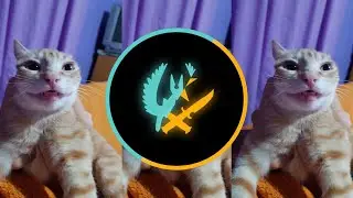 CSGO Cat Edit