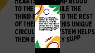 Animal with 3 hearts 🫢🫢😬 #animals #facts