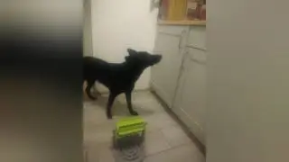 Влог.Едем в город.