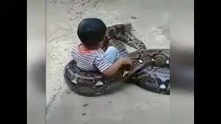 МАЛЫШ ИГРАЕТ СО ЗМЕЁЙ 😮 #shorts