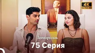Зимородок 75 Cерия (Русский дубляж) (4K)