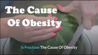 Is Fructose, The Cause Of Obesity