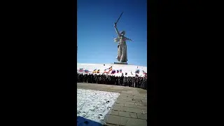 Автопробег в поддержку российских военных прошел в Волгограде 6.03.2022 Мамаев Курган#мамаевкурган