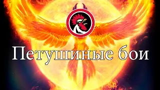 Хлопець з Харькiва