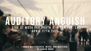 (197 Media) Auditory Anguish - 04/27/2024