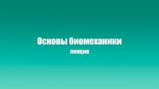 Лекция 