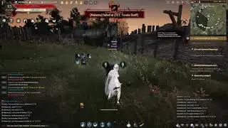 BDO Nova Simps buff testing & explanation