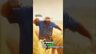 A Parábola do Joio e do Trigo  Lições para a Vida
