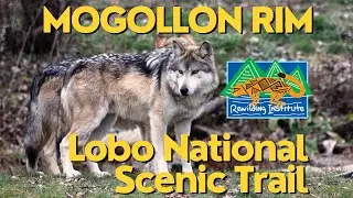 Mogollon Wildway and the Lobo National Scenic Trail