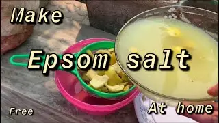 Epsom Salt at home | Epsom salt Bath Benefits for plants | Organic Fertiliser| HINDI