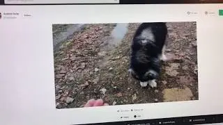 How to Record your Computer Screen on Windows [Step by Step Tutorial]