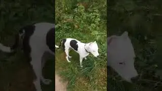 Просто наболело.
