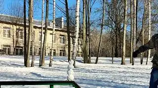snow 🌨️