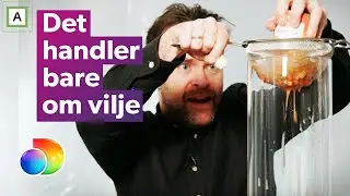 Vidar Magnussen presser alt han kan gjennom silen | Kongen befaler | discovery+ Norge