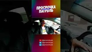 УЧИМ ЗАКОНЫ С НАМИ #питер